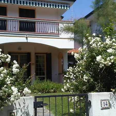 Maracaibo Duna Verde