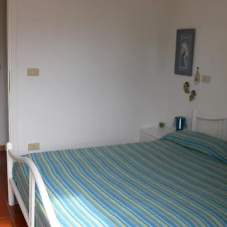 فيلة Maracaibo *