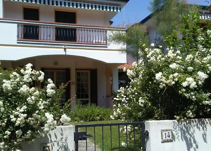 Maracaibo 두나 베르데